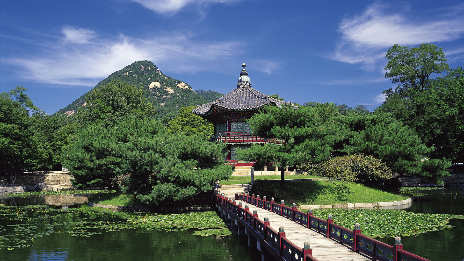 世界乒乓球联赛青训成果转化典型案例发布,乒乓球世界青年锦标赛